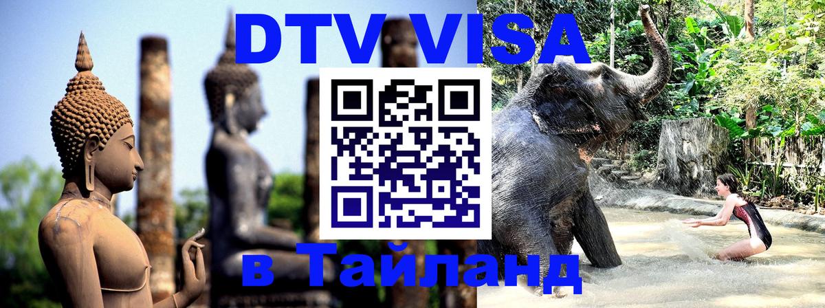 Сколько стоит DTV виза — актуальные цены, оформление даже без документов - 20.11.2025 